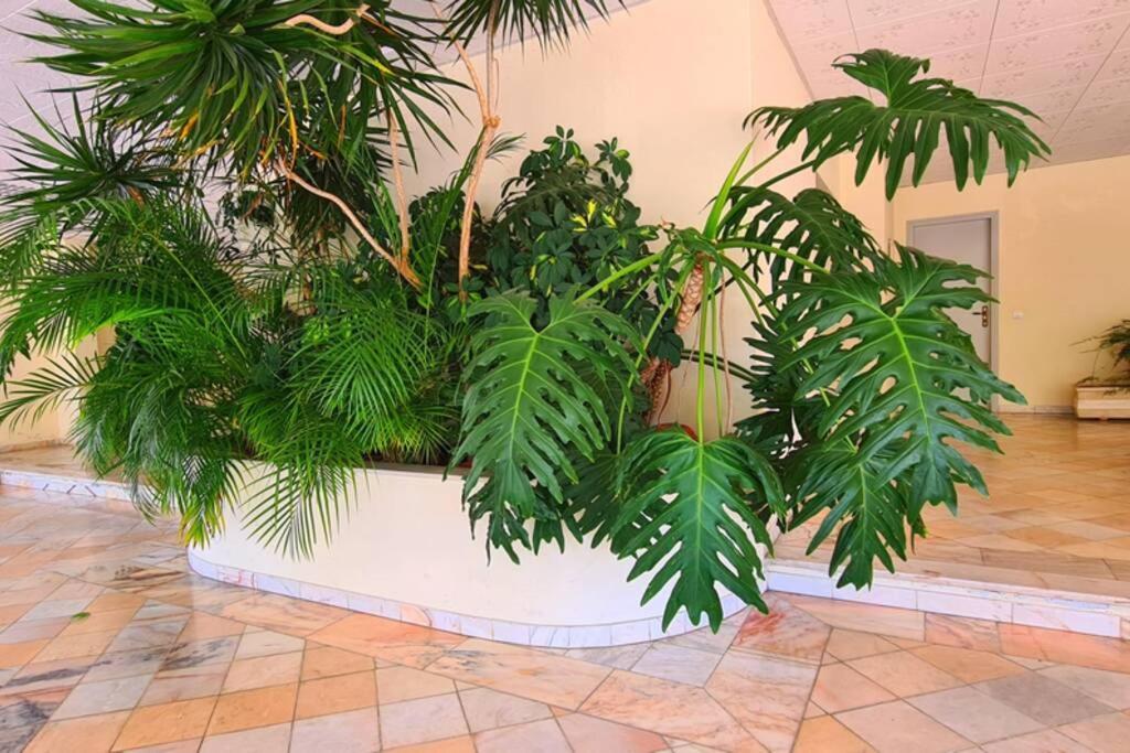 Comfort Zone Beach Apartment Quarteira Εξωτερικό φωτογραφία